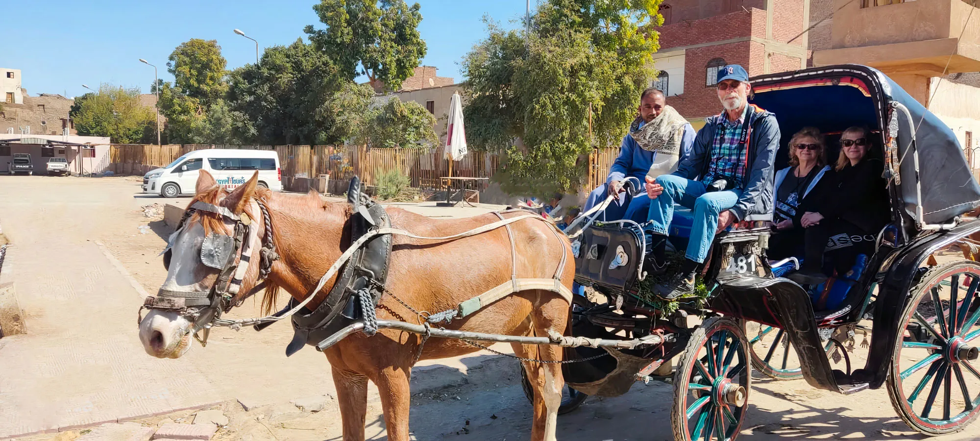 Visite authentique d’Assouan en calèche