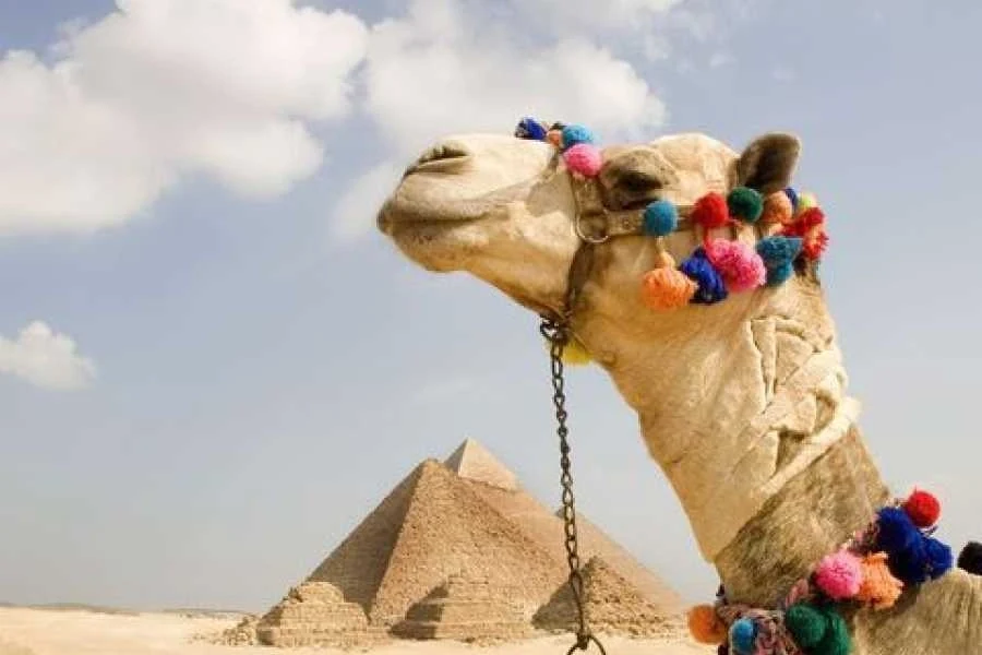 Circuits de 13 jours en Égypte