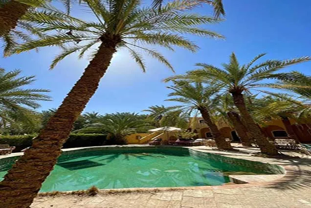 4 jours – Circuit magique à Siwa : forteresses antiques, lacs salés et safari dans la Grande Mer de Sable