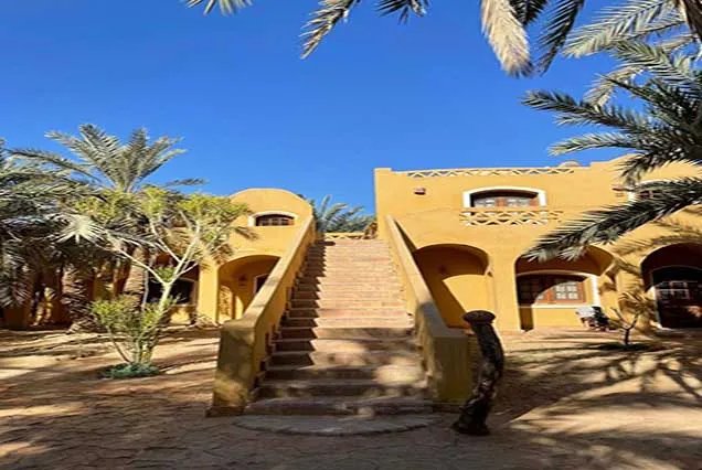 4 jours – Circuit magique à Siwa : forteresses antiques, lacs salés et safari dans la Grande Mer de Sable