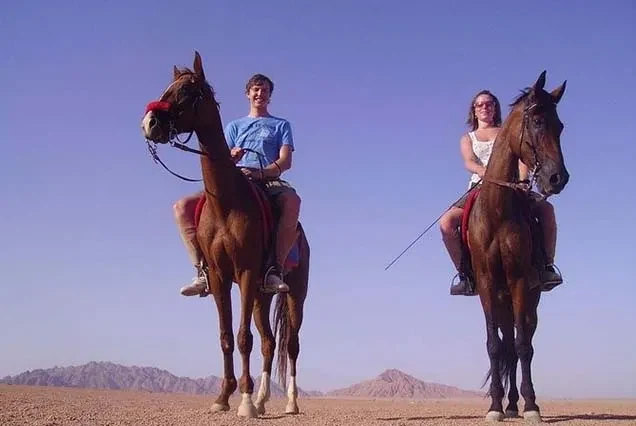 Balade à cheval à Dahab