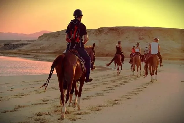 Balade à cheval à Dahab