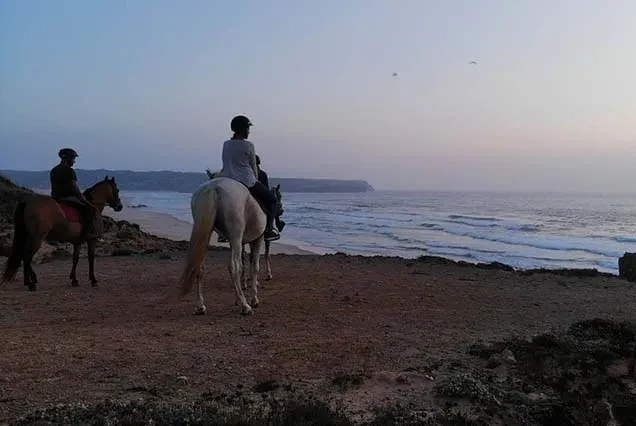 Balade à cheval à Dahab