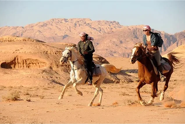 Balade à cheval à Dahab
