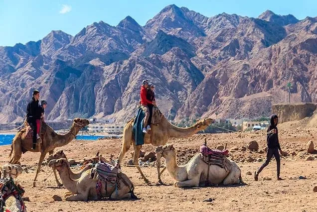Balade à cheval à Dahab