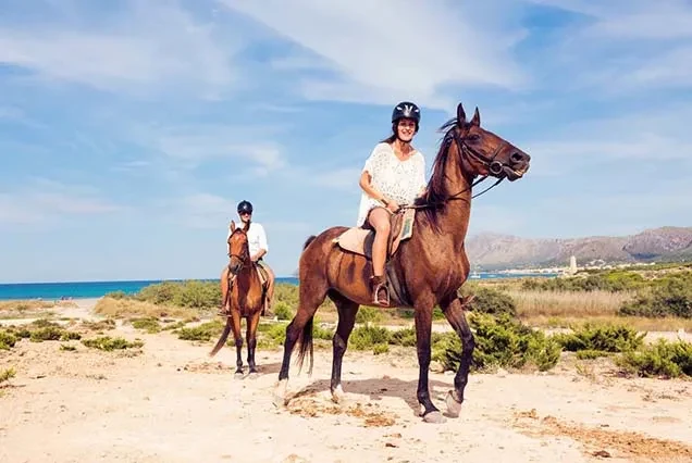 Balade à cheval à Dahab