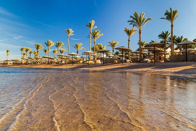 Circuit de Noël de 10 jours en Égypte : Le Caire, croisière sur le Nil et Hurghada