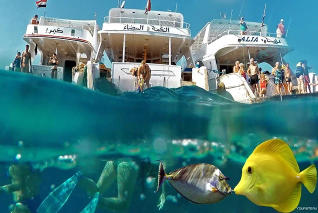 Excursion privée en bateau aux îles de Hamata avec snorkeling