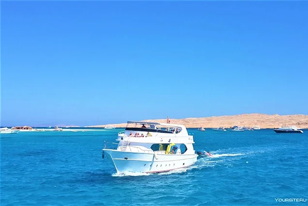 Plongée sous-marine premium à Marsa Alam