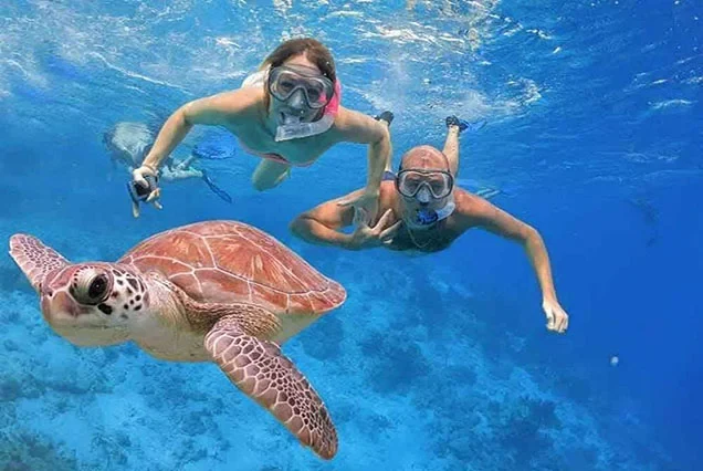 Plongée sous-marine premium à Marsa Alam