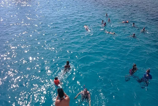 Plongée sous-marine premium à Marsa Alam