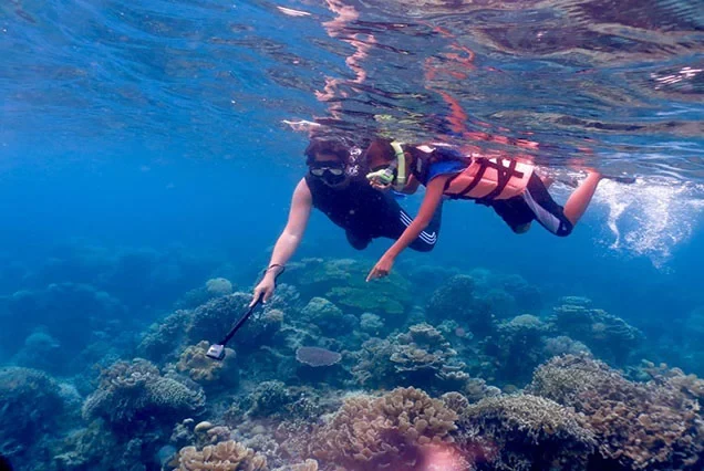 Plongée sous-marine premium à Marsa Alam