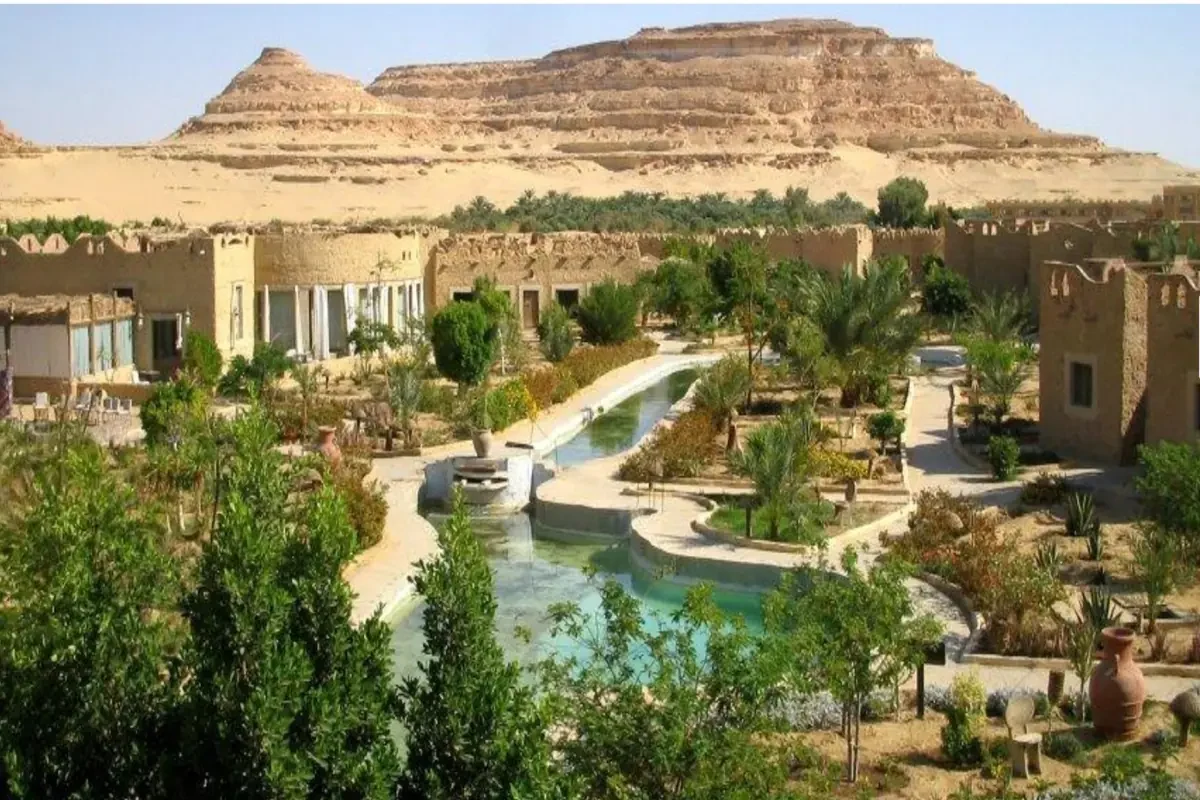 Circuit privé de 5 jours à l’oasis de Siwa depuis Le Caire avec El Alamein