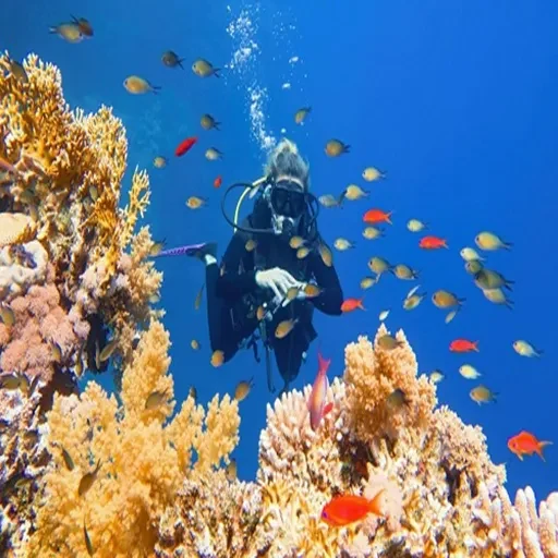 7 jours – Le Caire, croisière sur le Nil et Hurghada