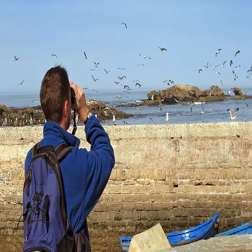 Excursion privée d’observation des oiseaux à Assouan
