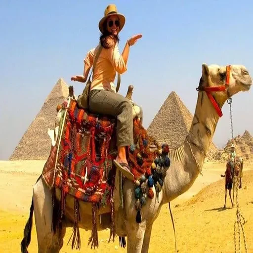 Excursion privée en avion de Louxor au Grand Musée Égyptien et aux pyramides de Gizeh