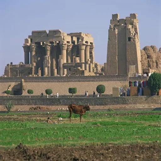 Circuit privé exclusif à Kom Ombo et excursion au temple d’Edfou