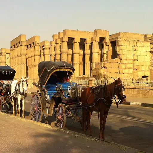 Visite romantique de Louxor en calèche