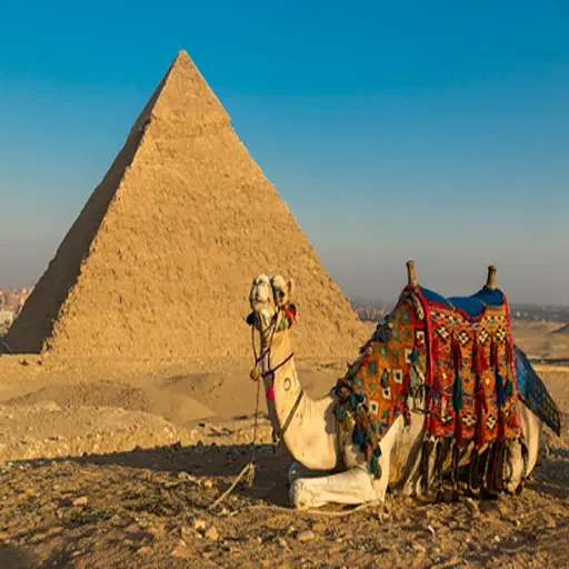 Circuit du Nouvel An en Égypte de 7 jours – Le Caire et Charm el-Cheikh