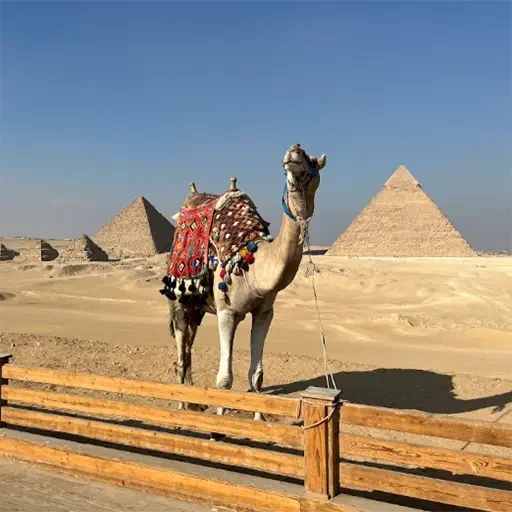 Excursion privée depuis Port-Saïd aux pyramides de Gizeh et à Saqqarah