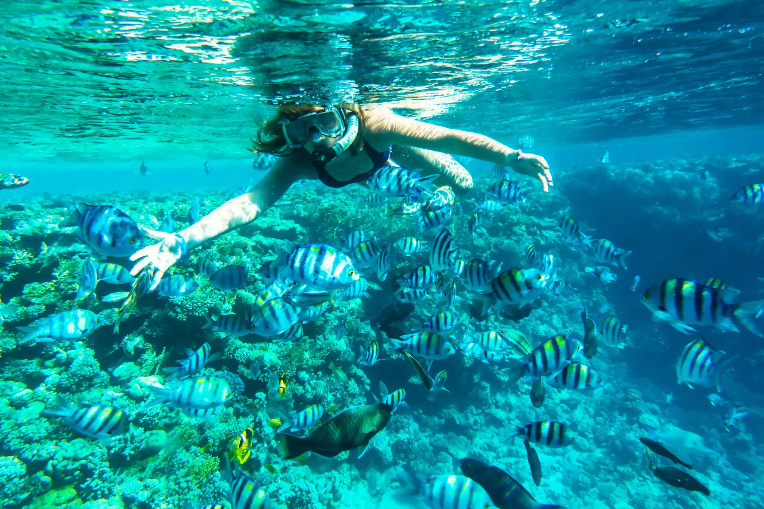 Snorkeling premium à l’île Mahmya – escapade écoresponsable