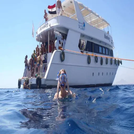Expédition premium de snorkeling à Ras Mohammed