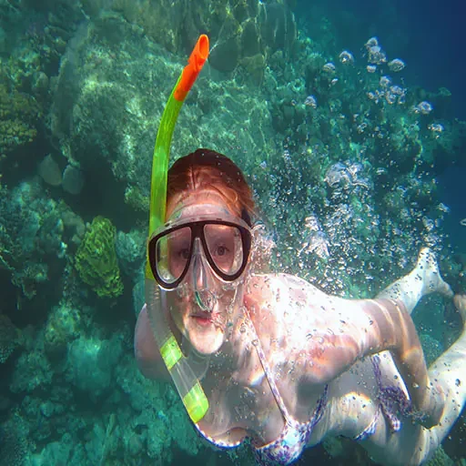 Expédition premium de snorkeling à Ras Mohammed