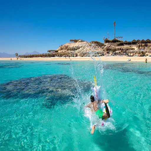 Expérience premium de snorkeling à l’île Giftun