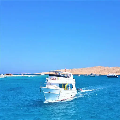 Expérience premium de snorkeling à l’île Giftun