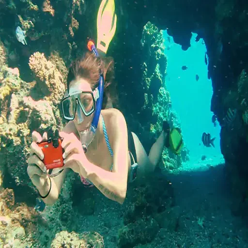 Expérience premium de snorkeling à l’île Giftun