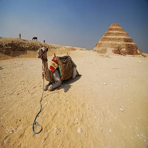 Excursion privée depuis le port de Sokhna vers les pyramides de Gizeh et safari à Saqqarah