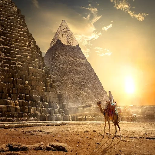 Excursion privée depuis le port de Sokhna vers les pyramides de Gizeh et safari à Saqqarah