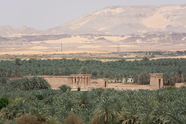 Circuit de 8 jours au Caire et dans les oasis d’Égypte