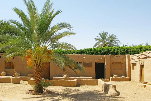 Circuit de 8 jours au Caire et dans les oasis d’Égypte