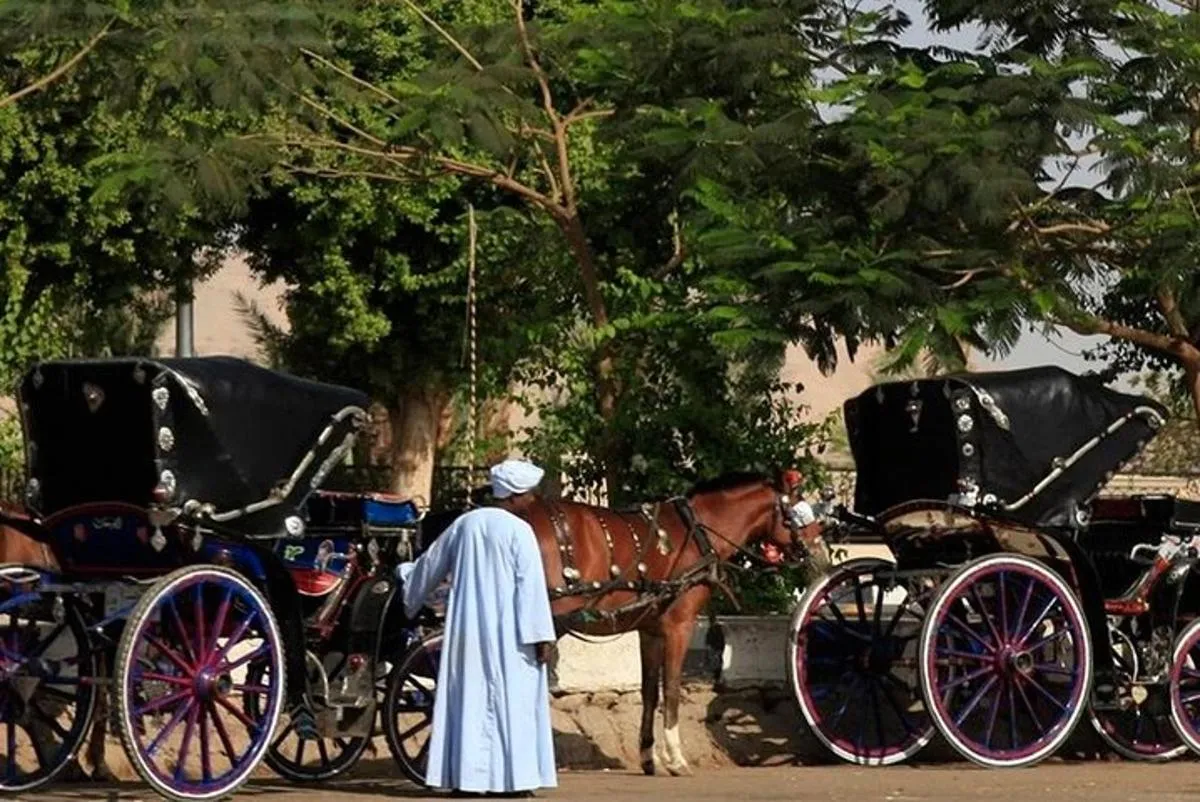 Visite authentique d’Assouan en calèche