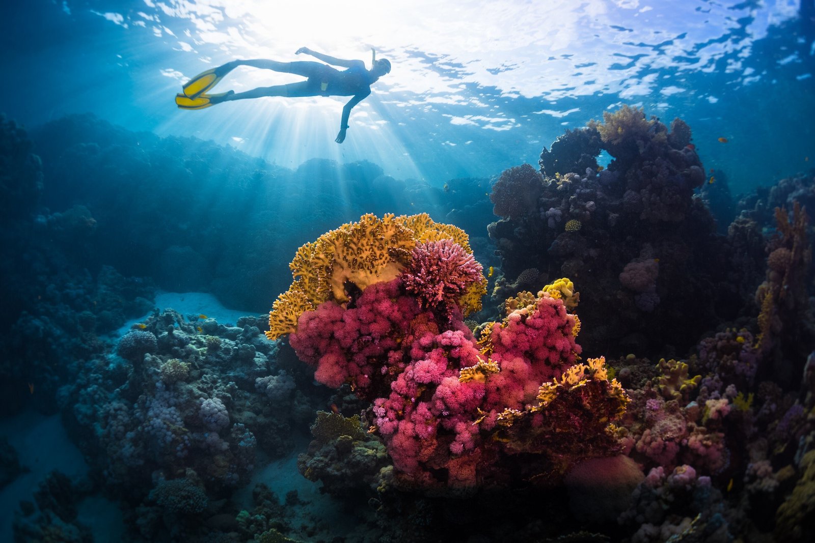 Excursions et activités à Hurghada